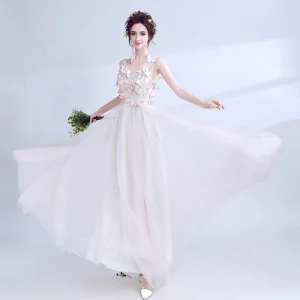 Chic Beautiful Candy Pink Evening Dresses 2017 A Line Princess U Neck Lace Butterfly Appliques Backless Evening Party Formal Dresses