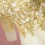 Classic Elegant Gold Plus Size Wedding Dresses 2018 A-Line / Princess Lace Tulle U-Neck Appliques Backless Wedding