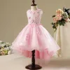 Chic / Beautiful Hall Wedding Party Dresses 2017 Flower Girl Dresses Blushing Pink Asymmetrical Ball Gown Scoop Neck Sleeveless Lace Appliques Flower Pearl Rhinestone