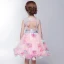 Chic / Beautiful Hall Wedding Party Dresses 2017 Flower Girl Dresses Blushing Pink Knee-Length Ball Gown Bow Sash Sleeveless Scoop Neck Butterfly Flower Appliques