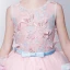 Chic / Beautiful Hall Wedding Party Dresses 2017 Flower Girl Dresses Blushing Pink Knee-Length Ball Gown Bow Sash Sleeveless Scoop Neck Butterfly Flower Appliques