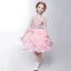 Chic / Beautiful Hall Wedding Party Dresses 2017 Flower Girl Dresses Blushing Pink Knee-Length Ball Gown Bow Sash Sleeveless Scoop Neck Butterfly Flower Appliques