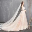 Modest / Simple Champagne Wedding Dresses 2018 A-Line / Princess Spaghetti Straps Sleeveless Backless Appliques Lace Ruffle Cathedral Train