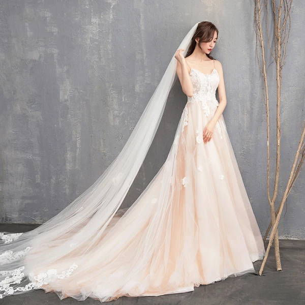Modest / Simple Champagne Wedding Dresses 2018 A-Line / Princess Spaghetti Straps Sleeveless Backless Appliques Lace Ruffle Cathedral Train