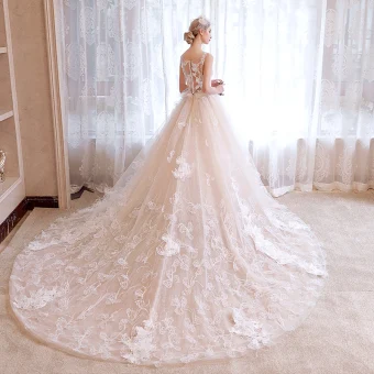 Sexy Église Robe De Mariée 2017 Champagne Princesse Glitter Cathedral Train Dos Nu Encolure Carrée Sans Manches Appliques Fleur