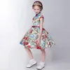 Chinese style Hall Wedding Party Dresses 2017 Flower Girl Dresses Gradient-Color Short A-Line / Princess Printing High Neck Sleeveless Bow Sash