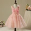 Chic / Beautiful Hall Wedding Party Dresses 2017 Flower Girl Dresses Pearl Pink Short Ball Gown Cascading Ruffles V-Neck Sleeveless Appliques Flower