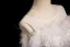 Fashion White Lace Flower Butterfly Appliques Feather Prom Dresses 2024 A-Line / Princess Scoop Neck Sleeveless Backless Floor-Length / Long Prom Formal Dresses