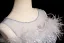 Charming Sky Blue Lace Flower Pearl Feather Butterfly Appliques Prom Dresses 2024 A-Line / Princess Scoop Neck Sleeveless Backless Prom Floor-Length / Long