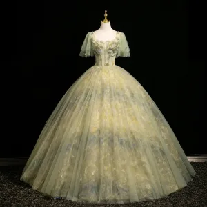 Fée Des Fleurs Vert Cendré Appliques Robe De Bal 2025 Robe Boule Encolure Carrée Manches Courtes Dos Nu Longue Robe De Ceremonie