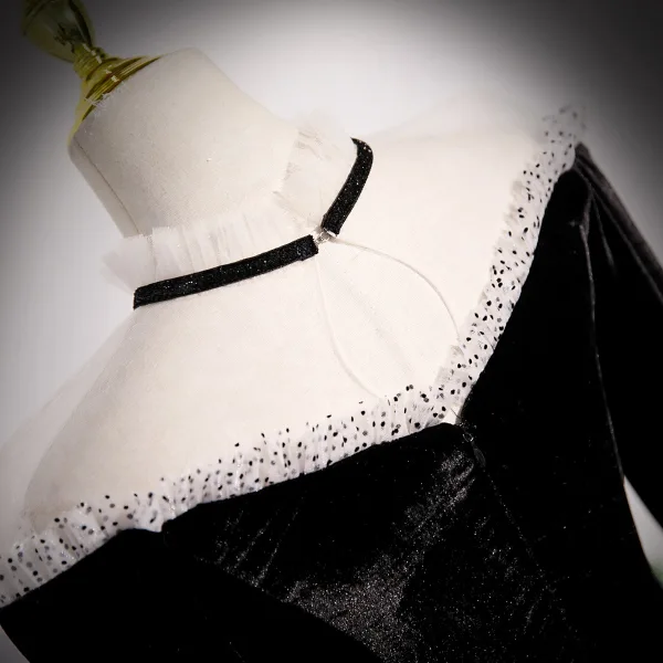 Elegant Black Velvet Prom Dresses 2023 A-Line / Princess High Neck Long Sleeve Floor-Length / Long Formal Dresses