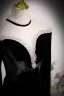 Elegant Black Velvet Prom Dresses 2023 A-Line / Princess High Neck Long Sleeve Floor-Length / Long Formal Dresses