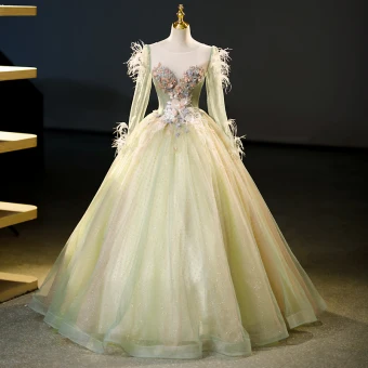 Chic Belle Vert Cendré Appliques Perlage Paillettes Gland Robe De Bal 2023 Robe Boule Encolure Dégagée Manches Longues Dos Nu Longue Promo Robe De Ceremonie