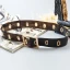 Modern / Fashion Black Evening Party Belt 2020 Metal See-through Buckle Outdoor / Garden Prom Accessories