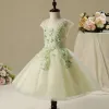 Chic / Beautiful Hall Wedding Party Dresses 2017 Flower Girl Dresses Sage Green Short Ball Gown Cascading Ruffles Short Sleeve Scoop Neck Lace Appliques Flower Pearl