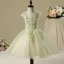Chic / Beautiful Hall Wedding Party Dresses 2017 Flower Girl Dresses Sage Green Short Ball Gown Cascading Ruffles Short Sleeve Scoop Neck Lace Appliques Flower Pearl