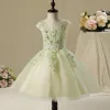 Chic / Beautiful Hall Wedding Party Dresses 2017 Flower Girl Dresses Sage Green Short Ball Gown Cascading Ruffles Short Sleeve Scoop Neck Lace Appliques Flower Pearl