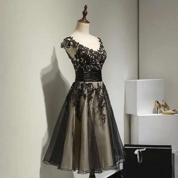 Chic / Beautiful Hall Formal Dresses 2017 Party Dresses Black Knee-Length A-Line / Princess Scoop Neck Backless Sleeveless Sash Lace Appliques