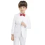 Simple Blanche Manches Longues Boys Wedding Suits 2017