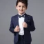 Modern / Fashion Navy Blue Long Sleeve Boys Wedding Suits 2017