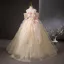 Flower Fairy Champagne Beading Lace Flower Appliques Sequins Prom Dresses 2025 Ball Gown Floor-Length / Long Scoop Neck Short Sleeve Prom Formal Dresses