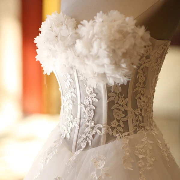 Chic / Belle Blanche Robe De Mariée 2019 Princesse Transparentes Bustier Appliques En Dentelle Fleur Sans Manches Dos Nu Longue