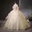 Flower Fairy Champagne Beading Lace Flower Appliques Sequins Prom Dresses 2025 Ball Gown Floor-Length / Long Scoop Neck Short Sleeve Prom Formal Dresses