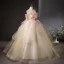 Flower Fairy Champagne Beading Lace Flower Appliques Sequins Prom Dresses 2025 Ball Gown Floor-Length / Long Scoop Neck Short Sleeve Prom Formal Dresses