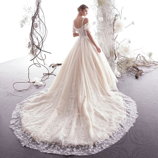 Charmant Champagne Robe De Mariée 2019 Princesse Bretelles Spaghetti Perlage Gland Paillettes En Dentelle Fleur Manches Courtes Dos Nu Cathedral Train