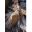 Charming Champagne Butterfly Prom Dresses 2021 A-Line / Princess Square Neckline Short Sleeve Backless Floor-Length / Long Formal Dresses