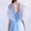 Chic / Beautiful Sky Blue Evening Dresses  2018 A-Line / Princess Lace Butterfly Scoop Neck Backless Short Sleeve Floor-Length / Long Formal Dresses