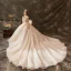 Luxury / Gorgeous Champagne Wedding Dresses 2019 A-Line / Princess Scoop Neck Beading Crystal Lace Flower Sequins Sleeveless Backless Watteau Train Royal Train