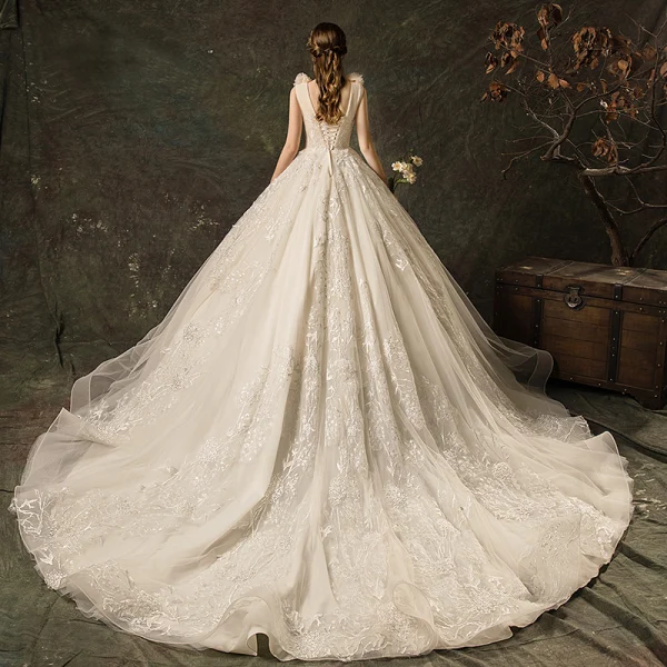 Charmant Champagner Brautkleider / Hochzeitskleider 2019 A Linie Durchsichtige Tiefer V-Ausschnitt Spitze Blumen Applikationen Ärmellos Rückenfreies Kathedrale Schleppe