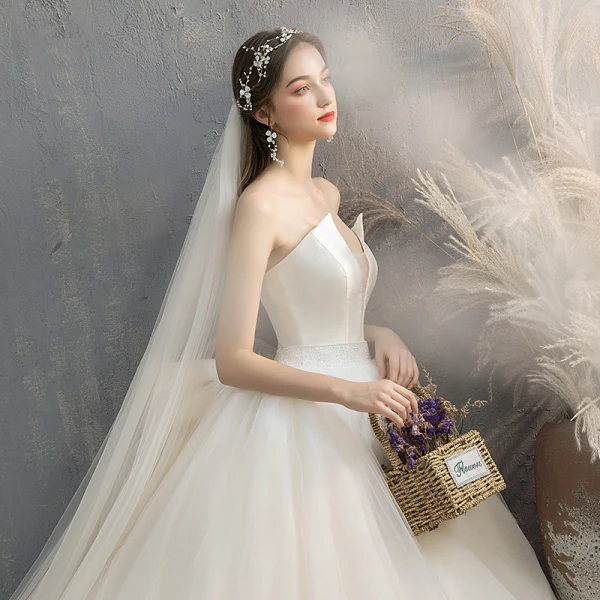 Charmant Champagne Robe De Mariée 2019 Princesse Bustier Noeud Sans Manches Dos Nu Cathedral Train