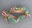 Amazing / Unique Multi-Colors Rave Club Pumps 2019 Leather Snakeskin Print 12 cm Stiletto Heels Pointed Toe Pumps