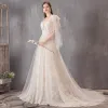 Chic / Beautiful Ivory Wedding Dresses 2019 A-Line / Princess V-Neck Lace Flower Sleeveless Backless Sweep Train