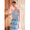 Charming Sky Blue Evening Dresses  2019 A-Line / Princess Spaghetti Straps Butterfly Appliques Sleeveless Backless Floor-Length / Long Formal Dresses