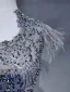 Haut de Gamme Gris Robe De Soirée 2019 Princesse U-Cou Fait main Perlage Cristal En Dentelle Fleur Sans Manches Plumes Train De Balayage Robe De Ceremonie