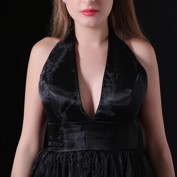 Sexy Black Evening Dresses 2018 A-Line / Princess V-Neck Halter Backless Sleeveless Court Train Formal Dresses