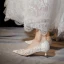 Elegant White Lace Flower Wedding Shoes 2021 3 cm Stiletto Heels Low Heel Pointed Toe Wedding Pumps High Heels