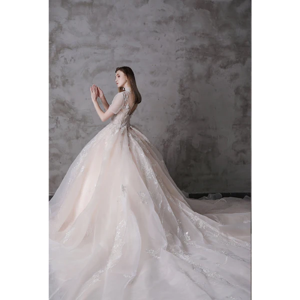 High-end Champagne Wedding Dresses 2020 Ball Gown High Neck Beading Sequins Lace Flower Short Sleeve Backless Royal Train