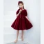 Chic / Beautiful Burgundy Suede Birthday Flower Girl Dresses 2022 A-Line / Princess V-Neck Short Sleeve Knee-Length Flower Girl Dresses
