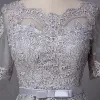 Affordable Grey Prom Dresses 2018 A-Line / Princess Bow Lace Flower Scoop Neck Short Sleeve Floor-Length / Long Formal Dresses