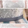Chic / Beautiful Prom Dresses 2017 1/2 Sleeves Beading Ruffle Tulle Sash Backless Chapel Train Formal Dresses
