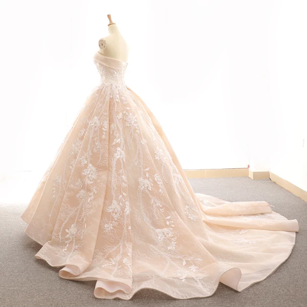 Elegant Champagne Wedding Dresses 2018 Ball Gown Lace Appliques Shoulders Backless Sleeveless Chapel Train Wedding
