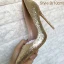 Glitzernden Gold Abend Glanz Pailletten Pumps 2021 12 cm Stilettos Spitzschuh Hochhackige