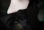 Vintage / Retro Black Check Prom Dresses 2025 Ball Gown Off-The-Shoulder Short Sleeve Backless Floor-Length / Long Prom Formal Dresses