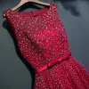 Sparkly Red Evening Dresses  2017 Lace Flower Sequins Scoop Neck Sleeveless Ankle Length Empire Formal Dresses
