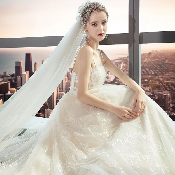 Modern / Fashion Champagne Wedding Dresses 2018 A-Line / Princess Lace Flower Star Spaghetti Straps Backless Sleeveless Cathedral Train Wedding