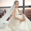 Modern / Fashion Champagne Wedding Dresses 2018 A-Line / Princess Lace Flower Star Spaghetti Straps Backless Sleeveless Cathedral Train Wedding